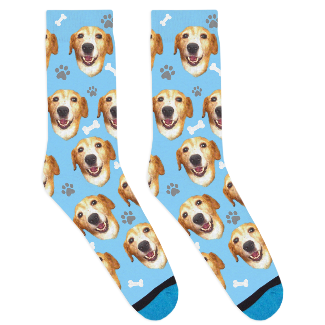 Custom Dog Socks | DivvyUp