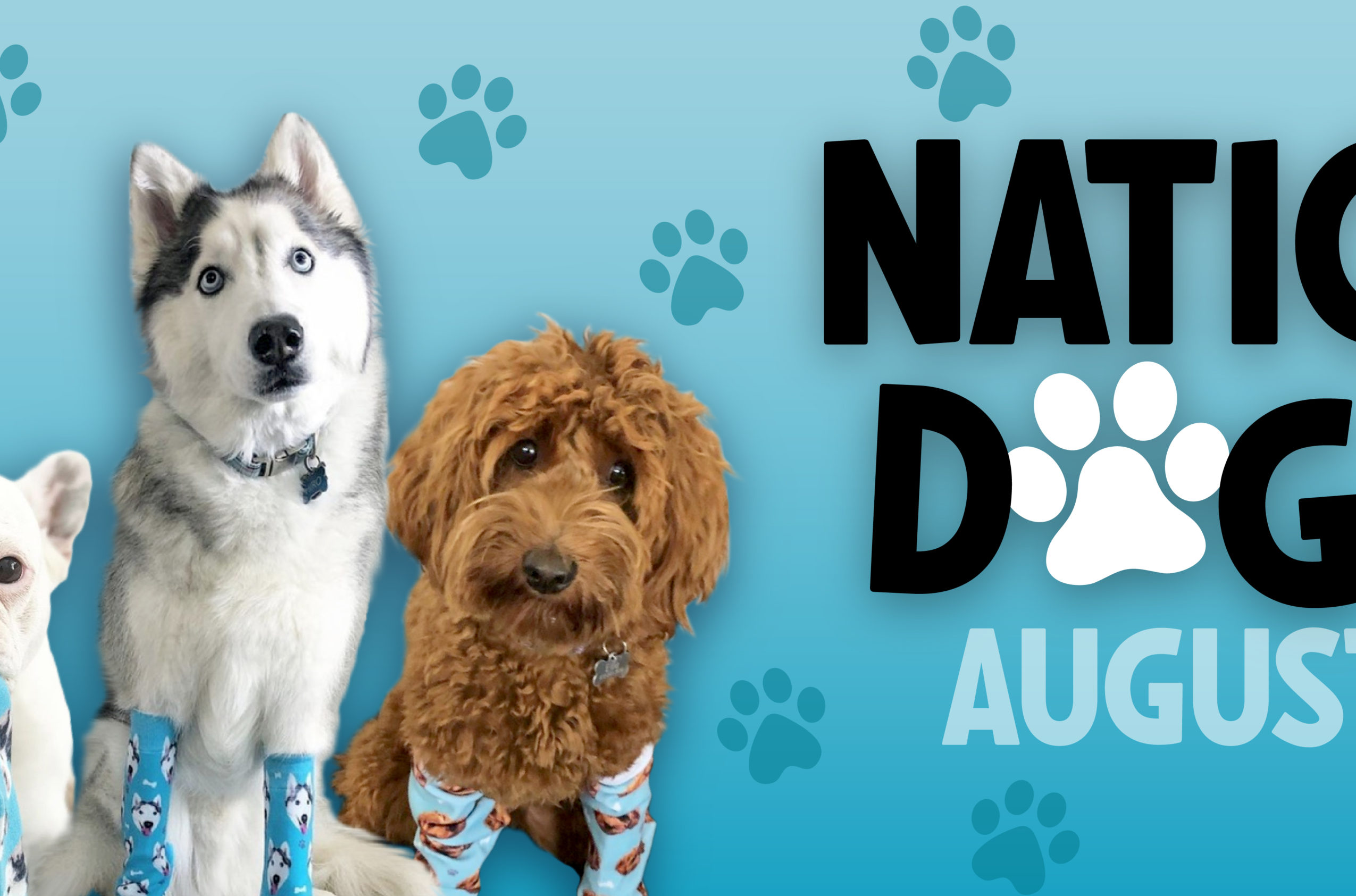 Category: National Dog Day | DivvyUp